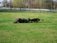 Mann gegen Hund